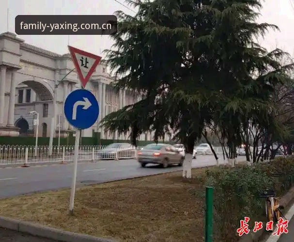 裁判科里纳在迈阿密的酒店大堂里，被一群记者堵住了去路。他刚从备战研讨会的会议室出来，手里还捏着一份写满规则变动的时间表。三天前，他和170名世界杯裁判团队刚刚落地，花了三年时间准备这一切。其中一个年轻记者小声嘀咕：“这届世界杯，到底要改成什么样？”科里纳没急回答，先看了他一眼，然后说了一句让人印象深刻的话：“足球运动瞬息万变，我们也在变。”